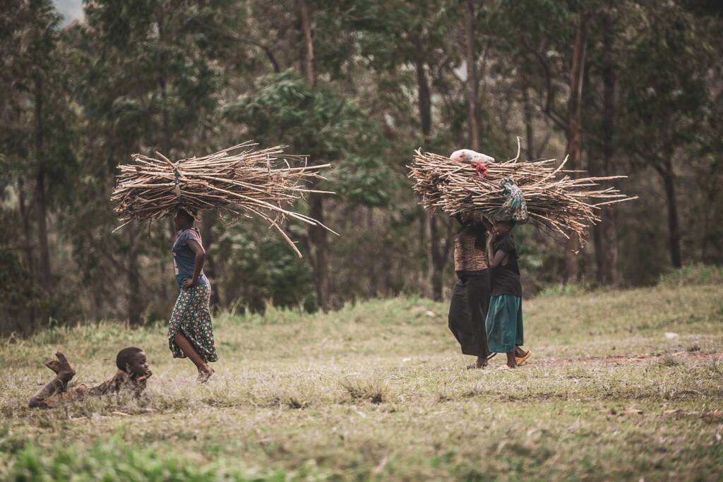 Women carrying firewood, illustrating fNRB in clean cooking programs
